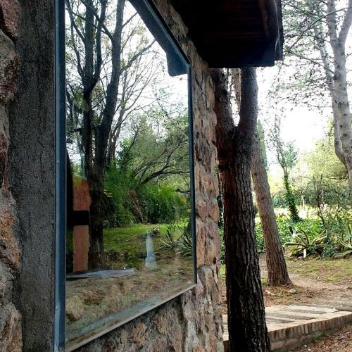 Lodge Domus-san Javier