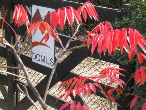 Lodge Domus-san Javier