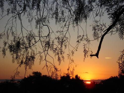 El Petrel Caba�as Y Spa De Campo