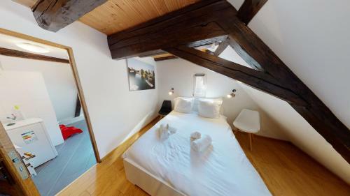 Apartamento Spacious Duplex City Center Strasbourg