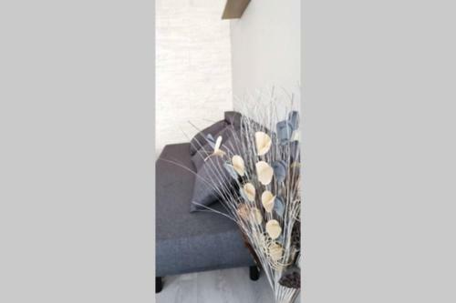 Apartamento Appartement F2 Cosy Proche Centre