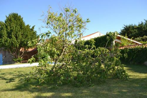 Bed & Breakfast La Maison De Thir�