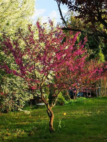 Bed & Breakfast Villa Le Cloky