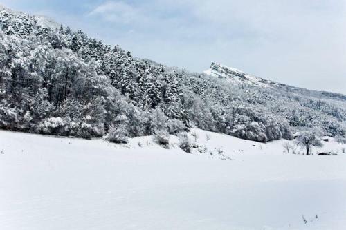 Apartamento Appartement Nature