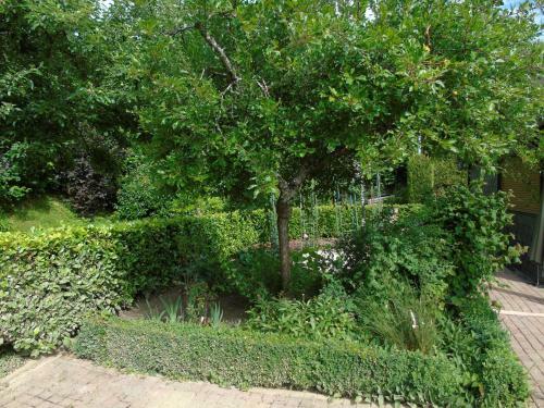 Maison L'hirondelle Rustique � Tournavaux
