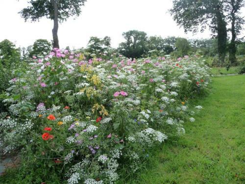 Bed & Breakfast Le Clos Des Pommiers