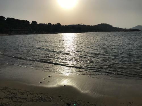 Apartamento La Petite Oasis Le Mourillon