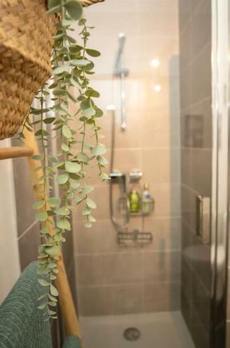 Apartamento Le Cosy Des Pr�bendes