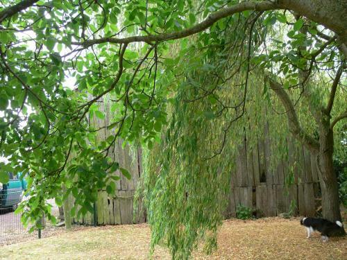 Les Maricotais G�te Le Cr�cerelle