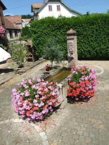 Apartamento G�te "au Vigneron"