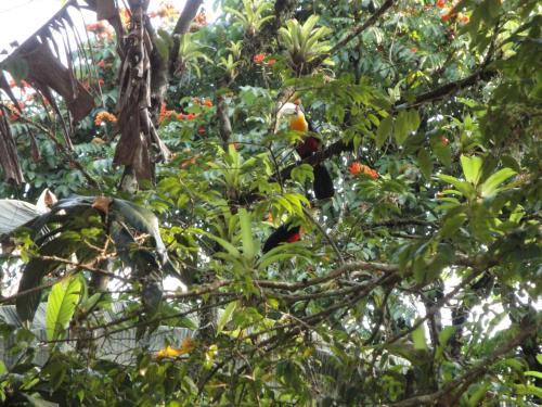 Hostal Pousada Arboretum