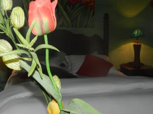 Hostal Pousada Recanto Do Pinheir�o