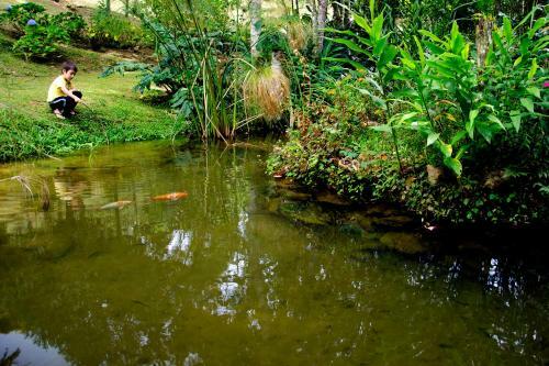 Hostal Pousada N� Da Madeira