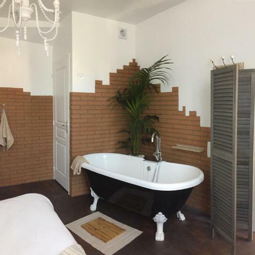 Hostal La Bulle Dans Le Palmier