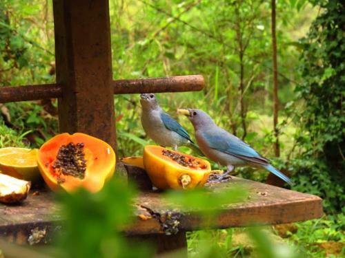 Hostal Pousada Mori�
