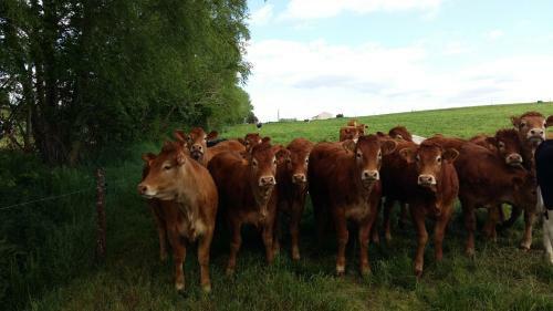 Agroturismo Charmante Maison � La Ferme