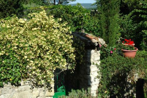 Annapurna Bed & Breakfast