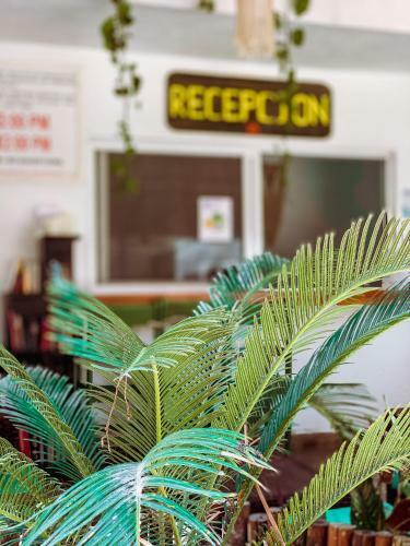 Hotel Golden Paradise Hostel