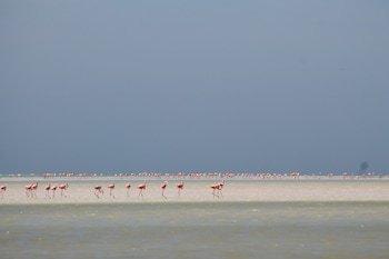 Hotel Puerto Holbox