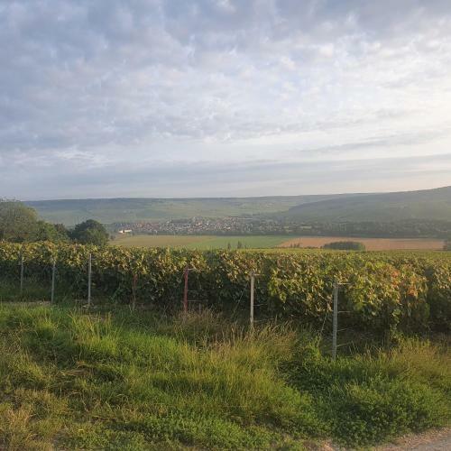 Hostal Chambres La Fabi�re Vauciennes -epernay