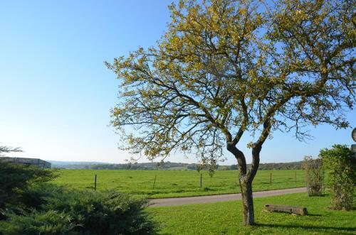G�te Brin De Campagne