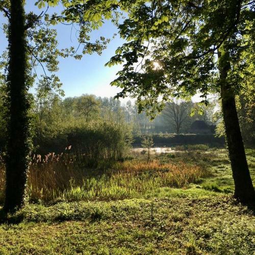 Bed & Breakfast Ch�teau Du Theuil