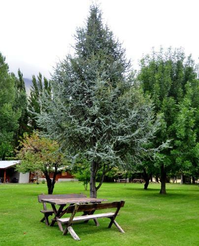 Lodge Caba�as Y Hosteria Aldea Los Huemules