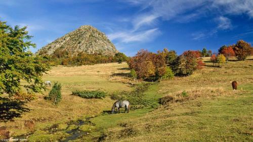 G�te Le Fort
