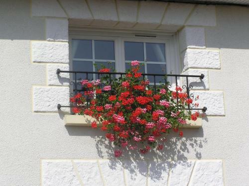 Bed & Breakfast Le Renard Chambres D'hotes