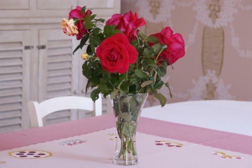 Bed & Breakfast Villa Madeleine