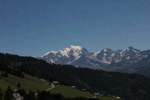 Apartamento La Perle Des Alpes C2