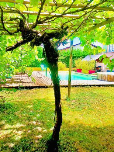 Bed & Breakfast Chambre Les Tourtereaux