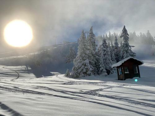 Apartamento Studio Cosy Au Pied Des Pistes