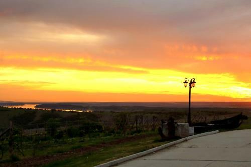 Seven Generations Winery Hotel