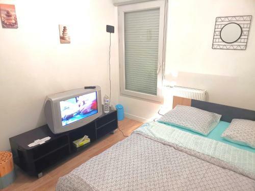 Private Room Cdg Airport Parc Expo