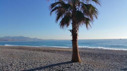 Apartamento R�sidence Cap Azur Appartement 237