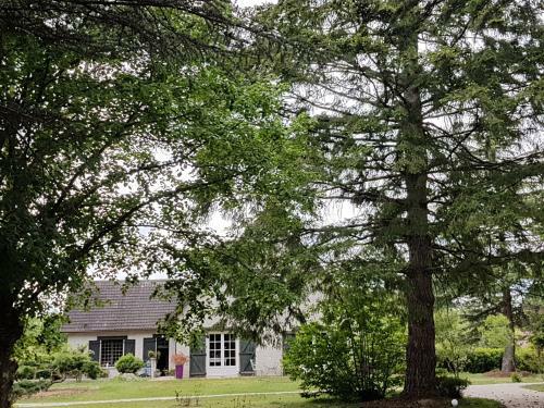 Bed & Breakfast Le Clos Des �cureuils
