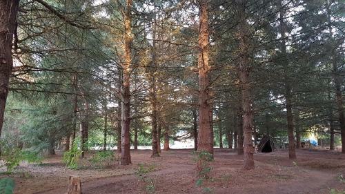 Bed & Breakfast Le Clos Des �cureuils