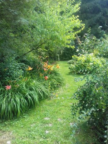 Bed & Breakfast La Haie � Cerf