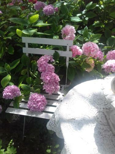 Bed & Breakfast La Haie � Cerf