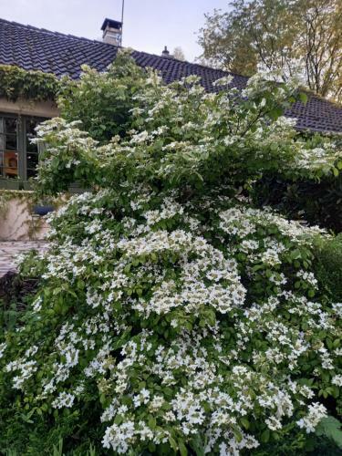 Bed & Breakfast La Haie � Cerf