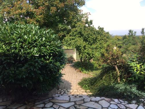 Bed & Breakfast La Haie � Cerf