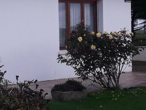 Agroturismo Studio Du Gite