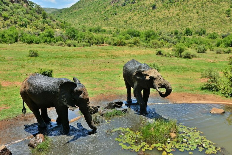Hotel Kwa Maritane Bush Lodge