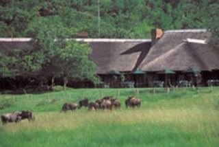 Hotel Bakubung Bush Lodge