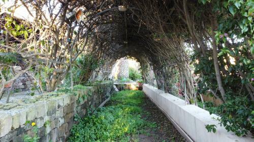 Pantelleria Dammusi Belvedere