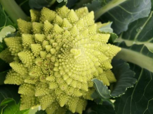 Agroturismo Agriturismo Cornieto