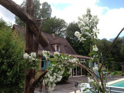 Bed & Breakfast Maison D'h�tes Le Moulin Pointu
