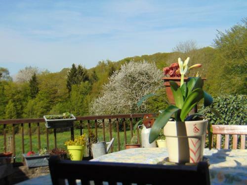 Gite Avesnois - 4910 -