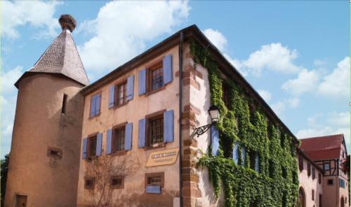 Apartamento Au Nid De Cigogne